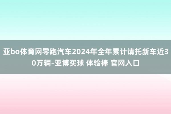 亚bo体育网零跑汽车2024年全年累计请托新车近30万辆-亚博买球 体验棒 官网入口