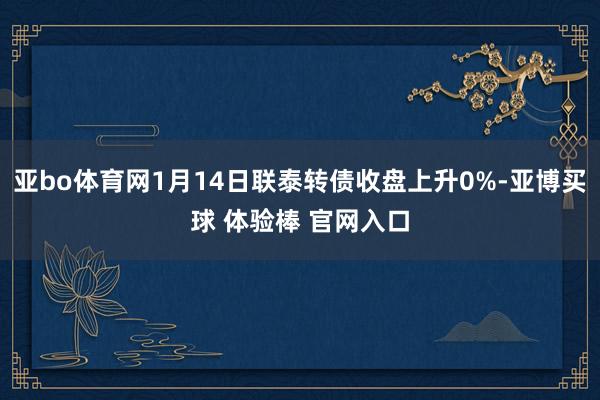 亚bo体育网1月14日联泰转债收盘上升0%-亚博买球 体验棒 官网入口