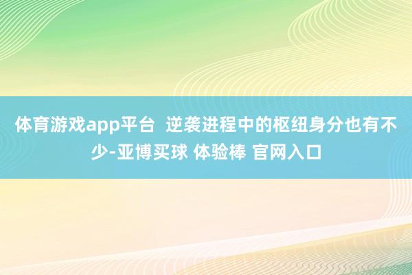 体育游戏app平台  逆袭进程中的枢纽身分也有不少-亚博买球 体验棒 官网入口