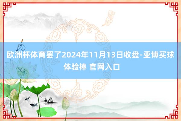欧洲杯体育罢了2024年11月13日收盘-亚博买球 体验棒 官网入口