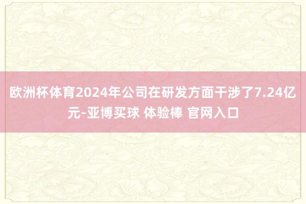 欧洲杯体育2024年公司在研发方面干涉了7.24亿元-亚博买球 体验棒 官网入口