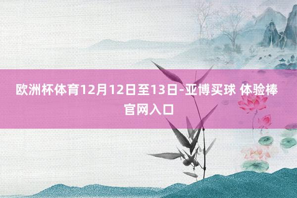 欧洲杯体育12月12日至13日-亚博买球 体验棒 官网入口