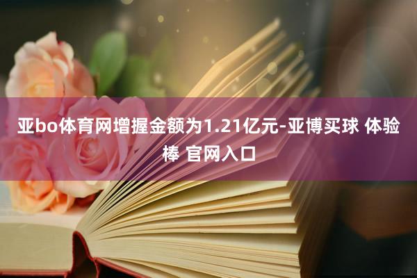 亚bo体育网增握金额为1.21亿元-亚博买球 体验棒 官网入口