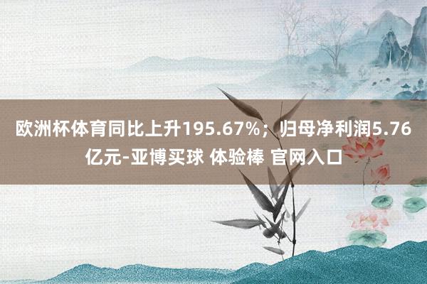 欧洲杯体育同比上升195.67%；归母净利润5.76亿元-亚博买球 体验棒 官网入口