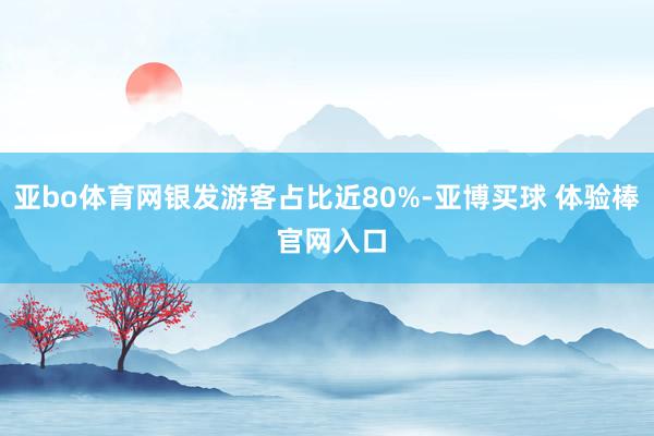 亚bo体育网银发游客占比近80%-亚博买球 体验棒 官网入口