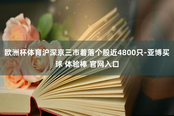 欧洲杯体育沪深京三市着落个股近4800只-亚博买球 体验棒 官网入口