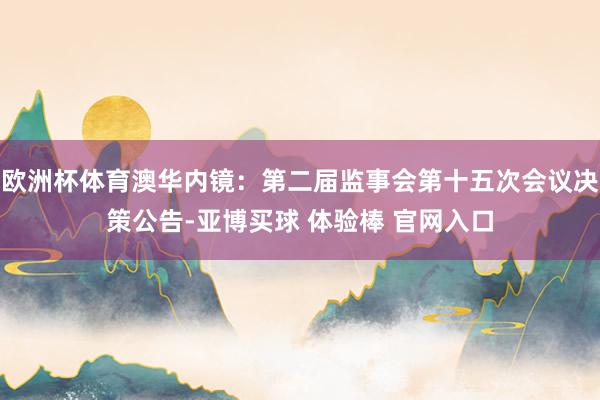 欧洲杯体育澳华内镜：第二届监事会第十五次会议决策公告-亚博买球 体验棒 官网入口