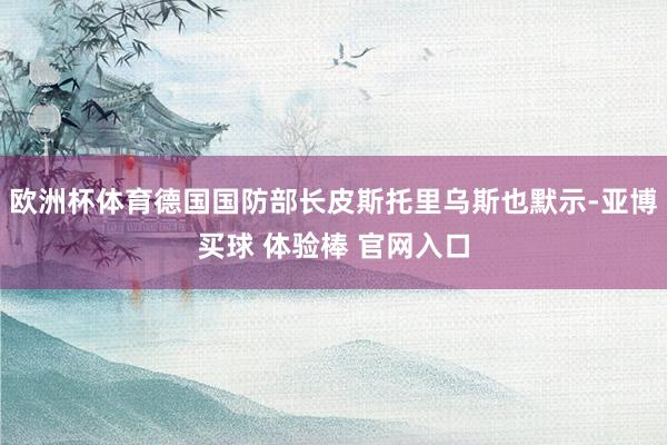 欧洲杯体育德国国防部长皮斯托里乌斯也默示-亚博买球 体验棒 官网入口